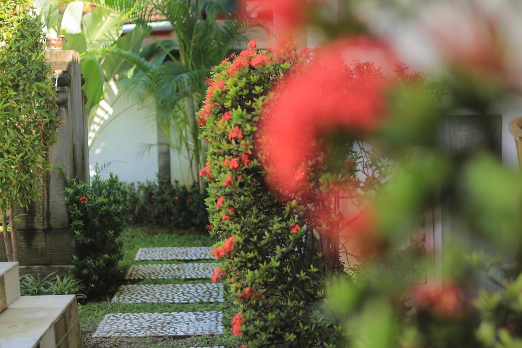Villa Seruni Lovina מראה חיצוני תמונה